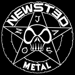 Newsted Metal Vinyl 12" USED