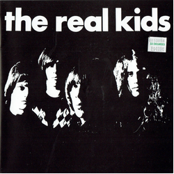 The Real Kids Bad To Worse Vinyl 7" USED