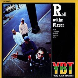 Young Black Teenagers Roll w / The Flavor Vinyl 12" USED