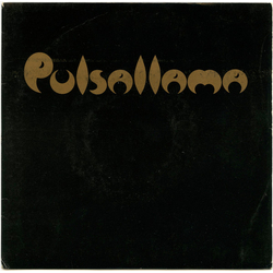 Pulsallama The Devil Lives In My Husband's Body Vinyl 7" USED