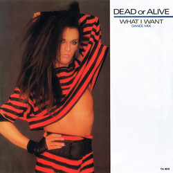 Dead Or Alive What I Want (Dance Mix) Vinyl 12" USED