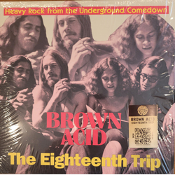 Various Brown Acid: The Eighteenth Trip (Heavy Rock From The Underground Comedown) Vinyl LP USED