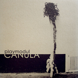 Playmodul Canula Vinyl 12" USED