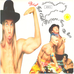 Red Hot Chili Peppers Taste The Pain Vinyl 7" USED