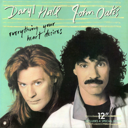 Daryl Hall & John Oates Everything Your Heart Desires Vinyl 12" USED