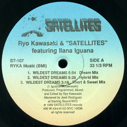 Ryo Kawasaki & Satellites / Ilana Iguana Wildest Dreams Vinyl 12" USED