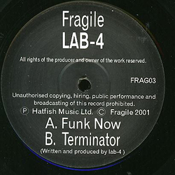 Lab 4 Funk Now / Terminator Vinyl 12" USED