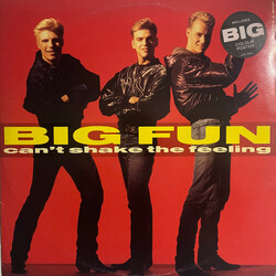 Big Fun Can't Shake The Feeling USED VINYL 12INCH 45 RPM