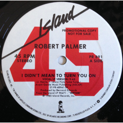 Robert Palmer I Didn't Mean To Turn You On Vinyl 12" USED