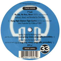 P'Taah No One, No How, Never Vinyl 12" USED