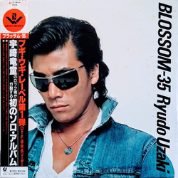 Ryudo Uzaki Blossom-35 Vinyl LP USED