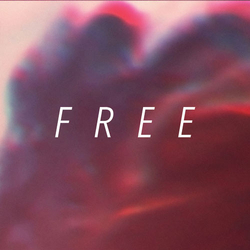 Hundredth FREE Vinyl LP USED