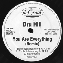 Dru Hill You Are Everything (Remix) Vinyl 12" USED