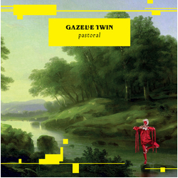 Gazelle Twin Pastoral Vinyl LP USED