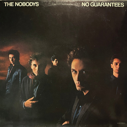 The Nobodys No Guarantees Vinyl LP USED