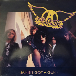 Aerosmith Janie's Got A Gun Vinyl 7" USED