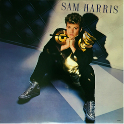 Sam Harris (2) Sam Harris Vinyl LP USED