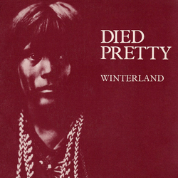 Died Pretty Winterland Vinyl 7" USED
