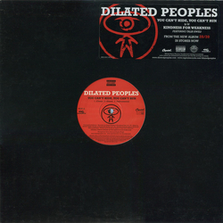 Dilated Peoples You Can't Hide, You Can't Run Vinyl 12" USED