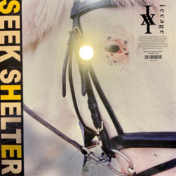 Iceage Seek Shelter Vinyl LP USED