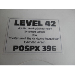 Level 42 Are You Hearing (What I Hear)? Vinyl 12" USED