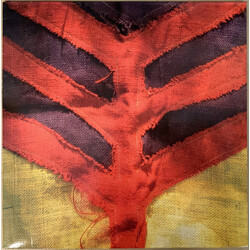 Yeah Yeah Yeahs Show Your Bones Vinyl LP USED
