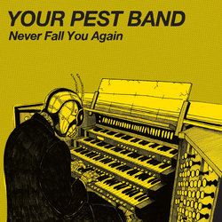 Your Pest Band Never Fall You Again Vinyl 7" USED