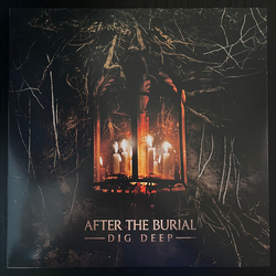 After The Burial Dig Deep Vinyl LP USED