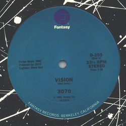 3070 Vision Vinyl 12" USED