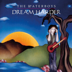 The Waterboys Dream Harder Vinyl LP USED
