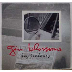 Gin Blossoms Hey Jealousy Vinyl 12" USED