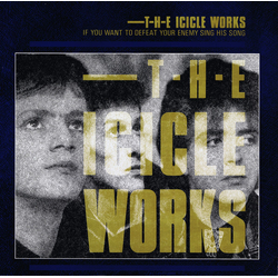 The Icicle Works If You Want To Defeat Your Enemy Sing His Song Vinyl LP USED