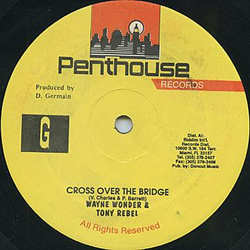 Wayne Wonder / Tony Rebel Cross Over The Bridge Vinyl 12" USED