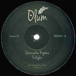 Shunsuke Kojima Twilight Vinyl 12" USED