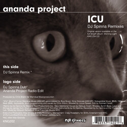 The Ananda Project ICU Vinyl 12" USED