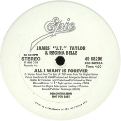 J.T. Taylor / Regina Belle All I Want Is Forever Vinyl 12" USED