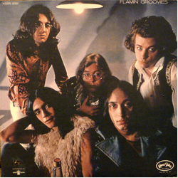 The Flamin' Groovies Flamingo Vinyl LP USED