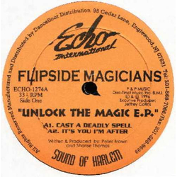 Flipside Magicians Unlock The Magic E.P. Vinyl 12" USED