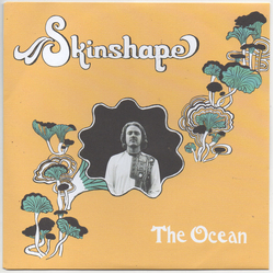 Skinshape The Ocean Vinyl 7" USED