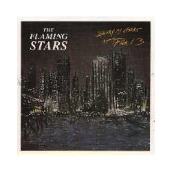 The Flaming Stars Bury My Heart At Pier 13 Vinyl 7" USED