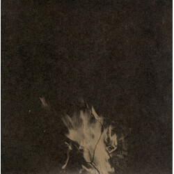 Bonnie "Prince" Billy Sings 'Black Dissimulation' And 'No Such As What I Want' Vinyl 7" USED