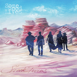 Shook Twins Some Good Lives Vinyl LP USED