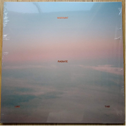 Warpaint Radiate Like This Vinyl LP USED