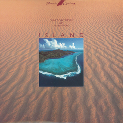 David Arkenstone / Andrew White (7) Island Vinyl LP USED