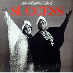 The Weather Girls Success Vinyl LP USED