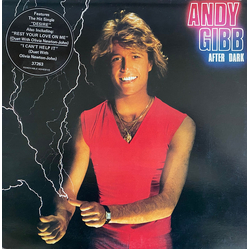 Andy Gibb After Dark Vinyl LP USED