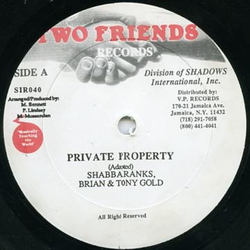 Brian & Tony Gold / Shabba Ranks Private Property Vinyl 12" USED