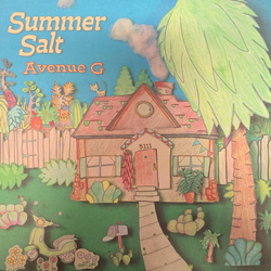 Summer Salt Avenue G Vinyl 7" USED
