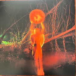 The Mysterines Afraid of Tomorrows Vinyl LP USED