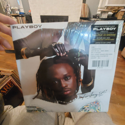 Fireboy DML Playboy Vinyl 2 LP USED